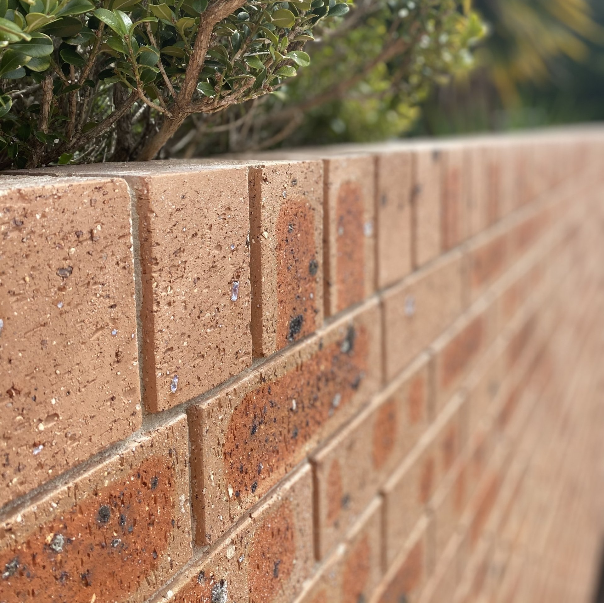 Brick Fence Installation - Enfield, NSW - COB Bricklaying Brick Fence Installation - Enfield, NSW - COB Bricklaying
