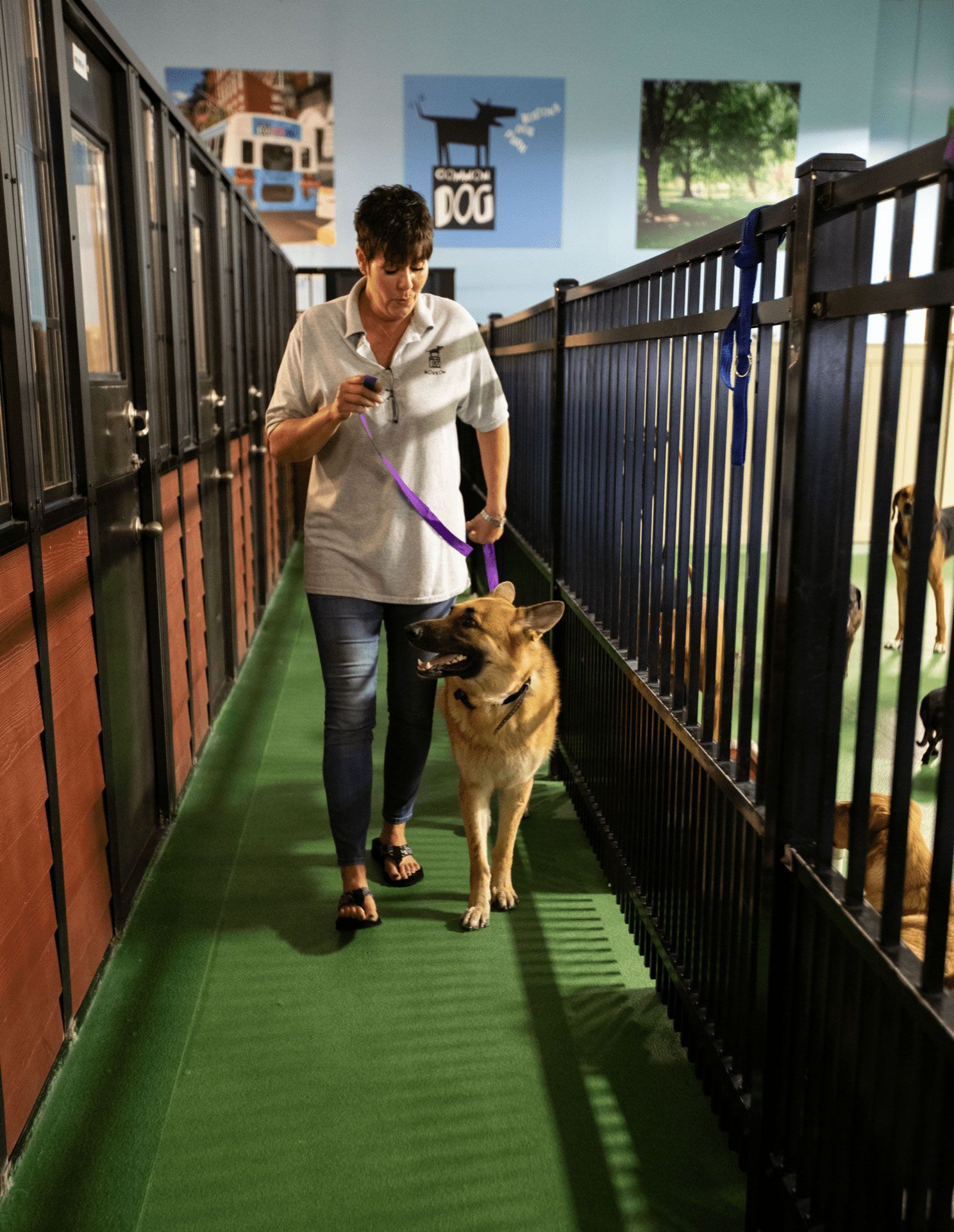 A woman is walking a dog down a hallway in a dog boarding facility