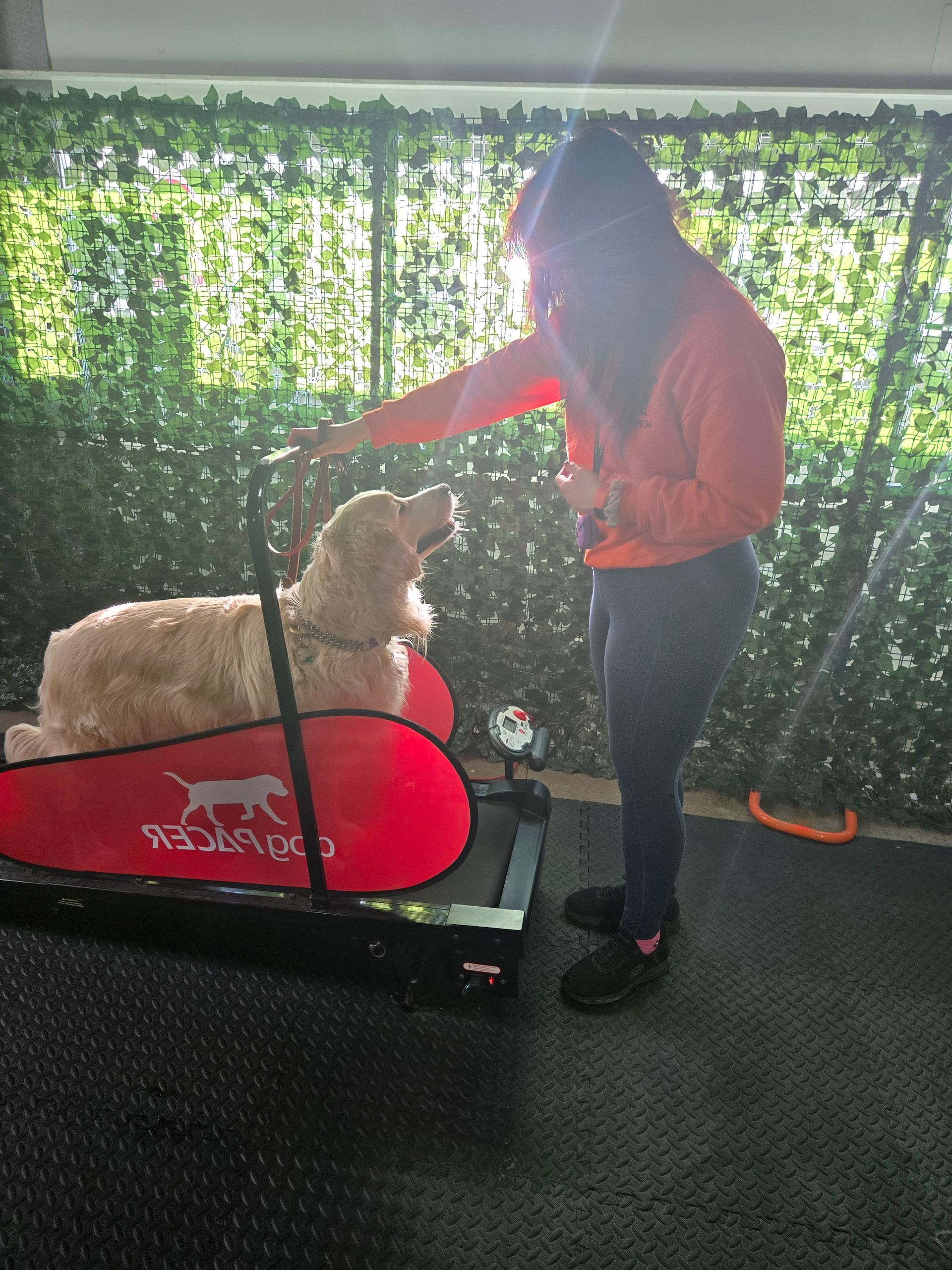 A person is standing next to a dog on a treadmill.