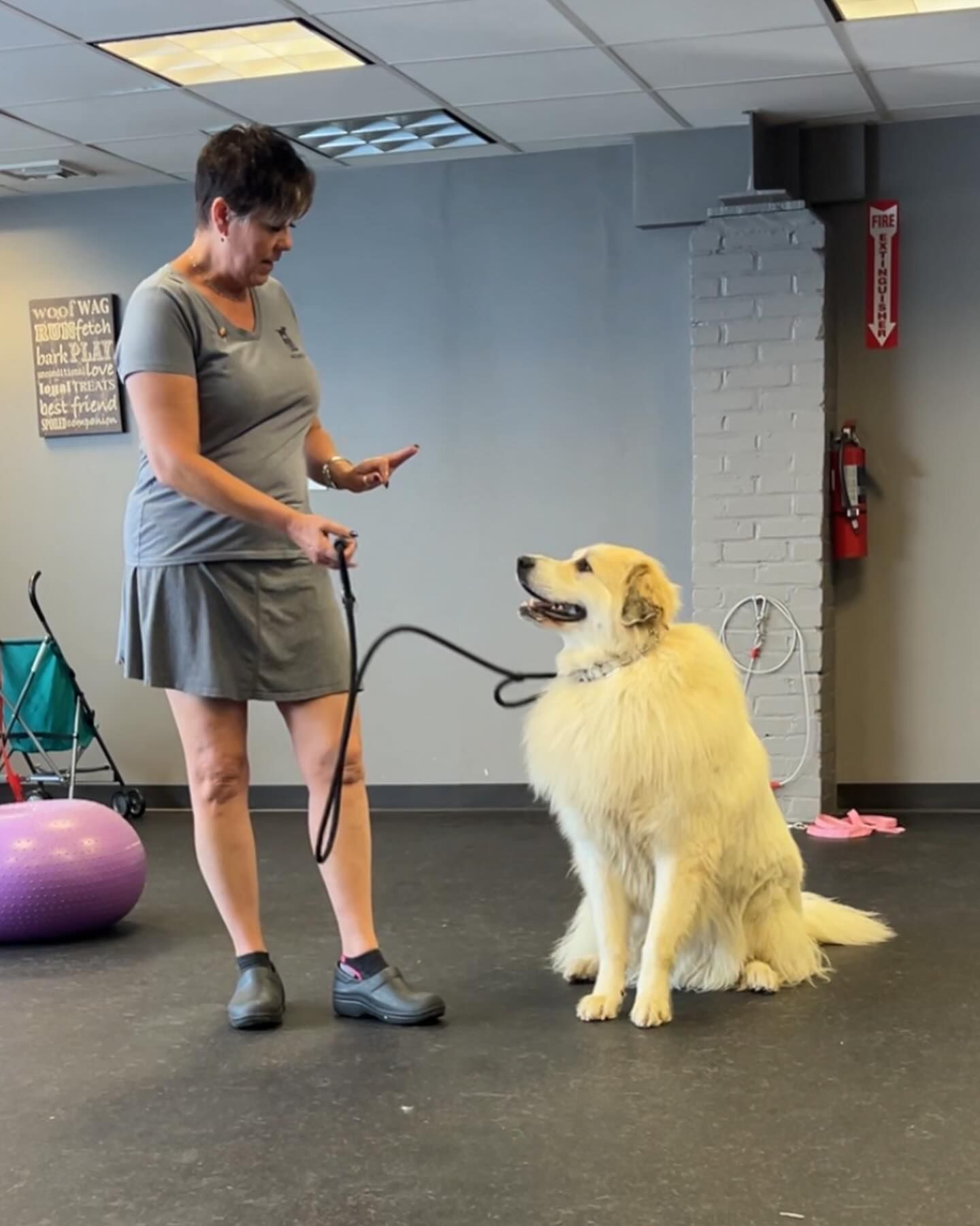 A woman is standing next to a dog on a leash