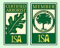 Two green and white ISA logo badges: Two green and white ISA logo badges: