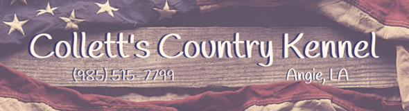 Collett's Country Kennel sign with mountain sunset background, in Angie, LA