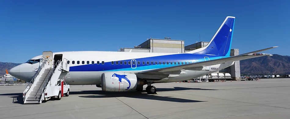 Boeing 737-500 on a ferry flight from Japan to United States