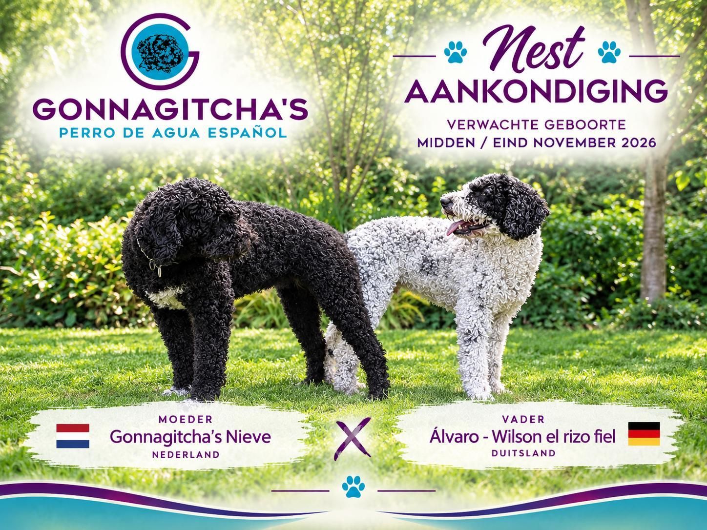 Nestaankondiging 2026 - Nieve X Wilson