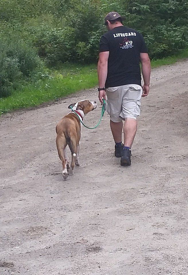 Jeff Scarpino training a dog