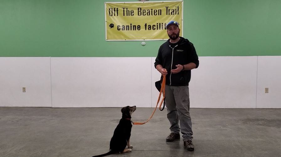 Jeff teaching a dog loose leash course