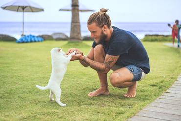 Man training a puppy in freshly cut green grass.