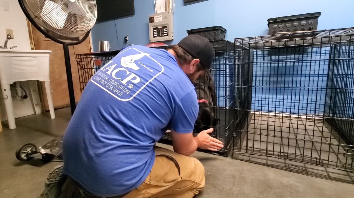 Jeff Scarpino teaching a resource guarding dog training course.