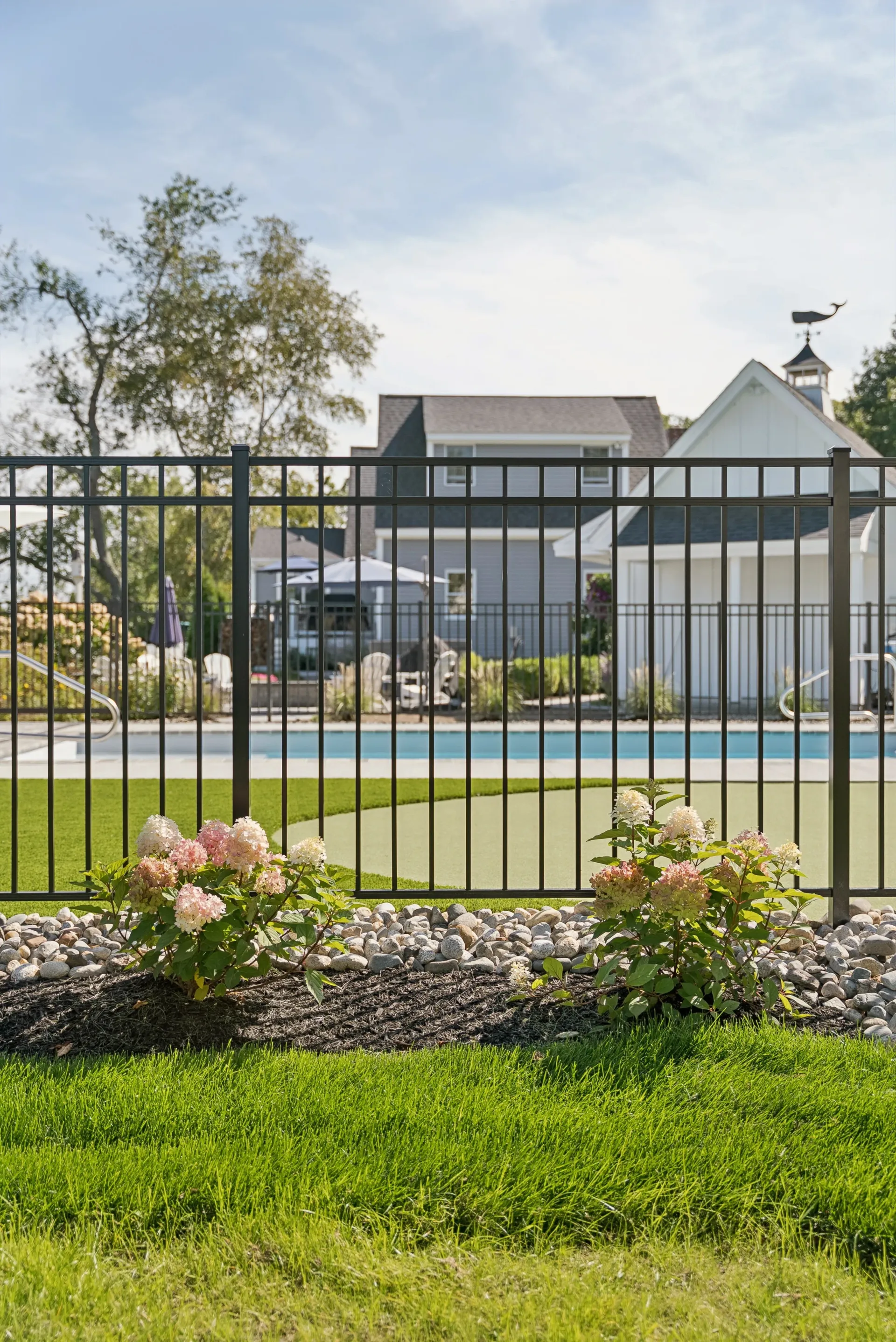 Black metal fence with view of pool and houses, with pink flowers and grass in the foreground.