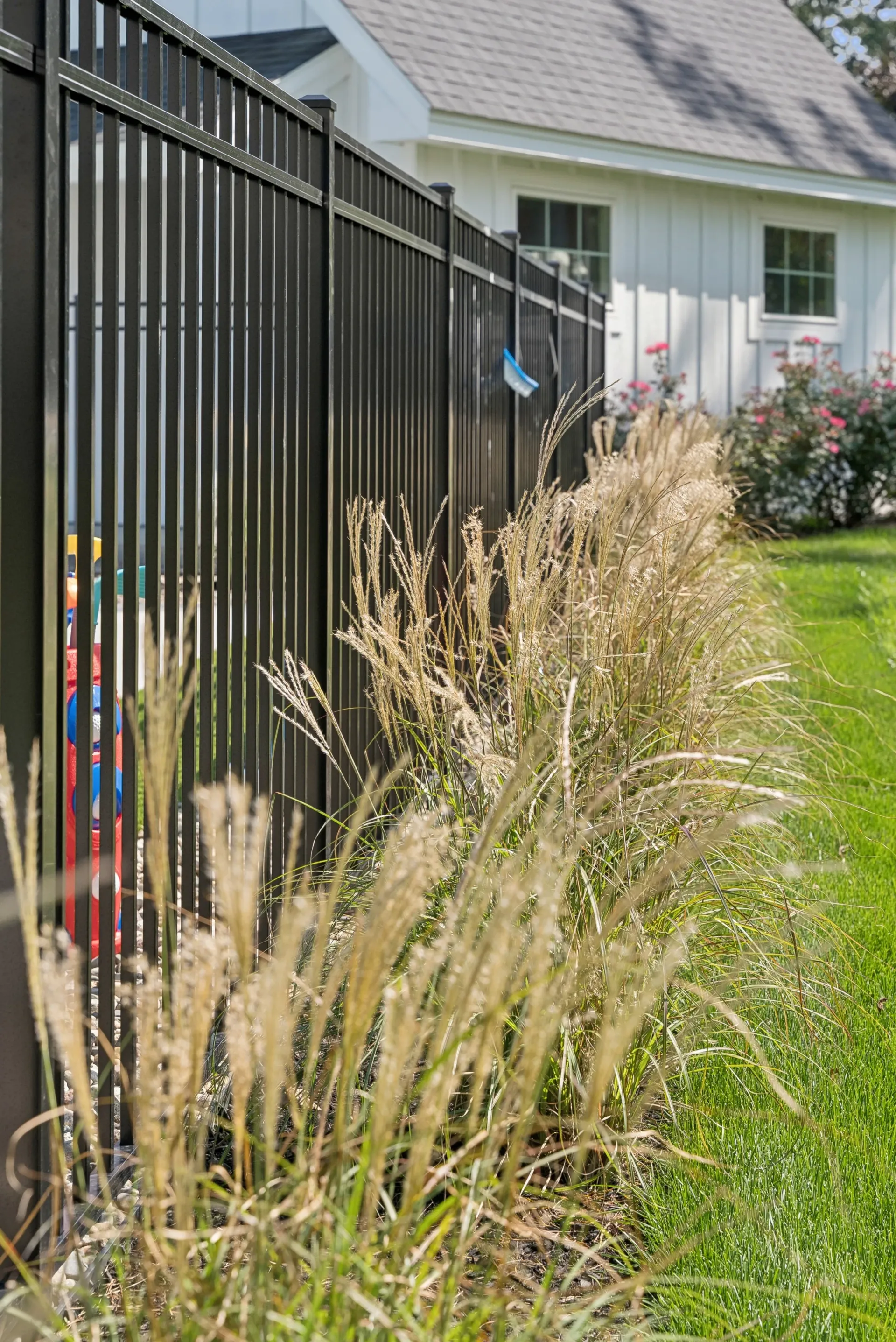 Black metal fence with tall grasses bordering a white building with windows and a green lawn.