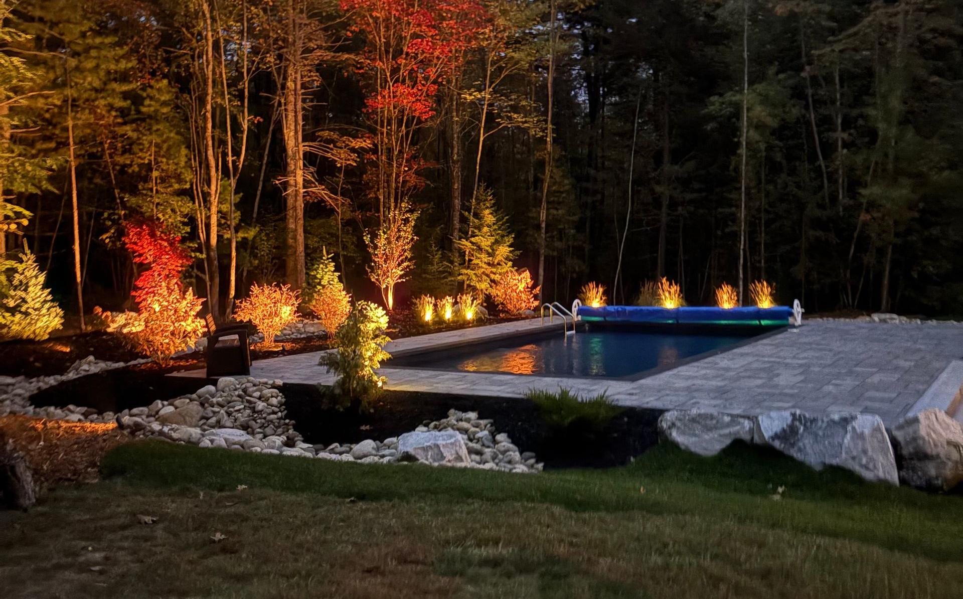 Night view of a swimming pool with landscape lighting illuminating trees and foliage.