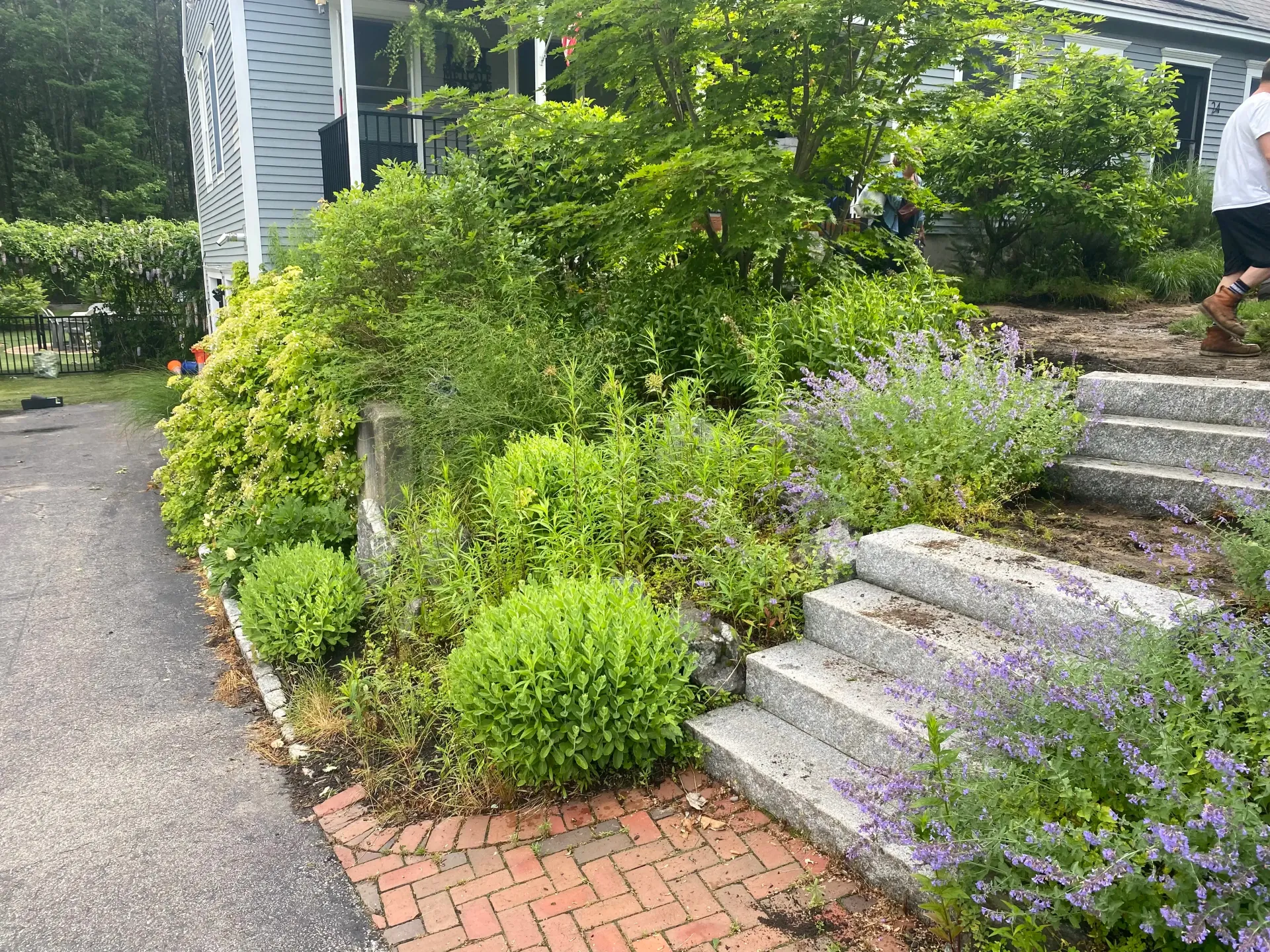 Hand-drawn garden plan with labeled sections, pathways, and features like a water feature, seating areas, and planting beds.