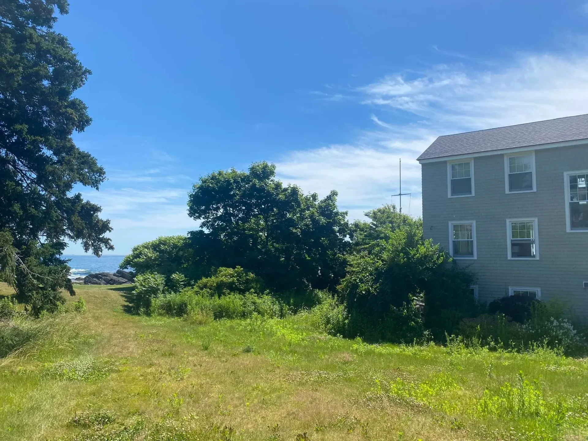 Grassy field beside a gray house under a bright blue sky with trees and shrubs.