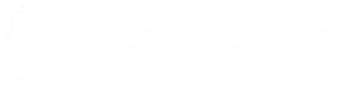 W&W Solutions Inc trusted investigation company Cape Coral Fort Myers Naples