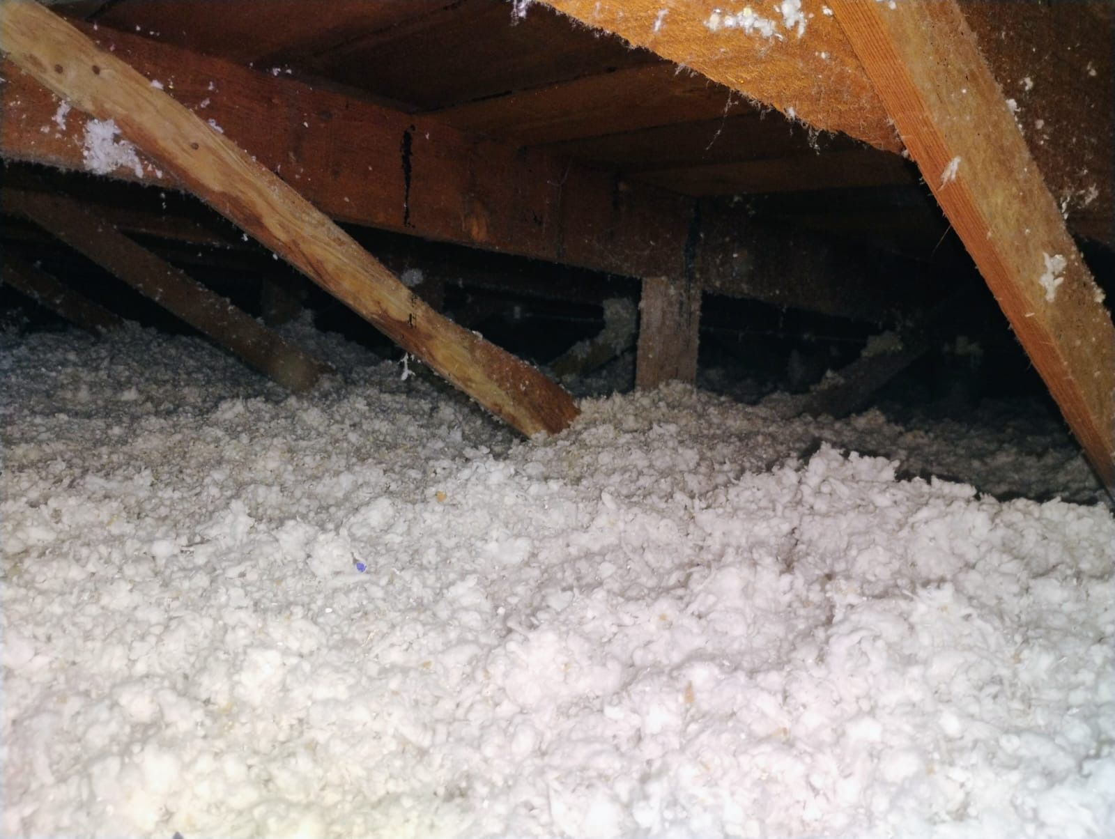 Attic crawlspace filled with white insulation beneath wooden rafters