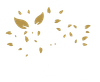 albero
