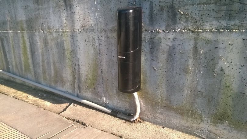 FOTO5