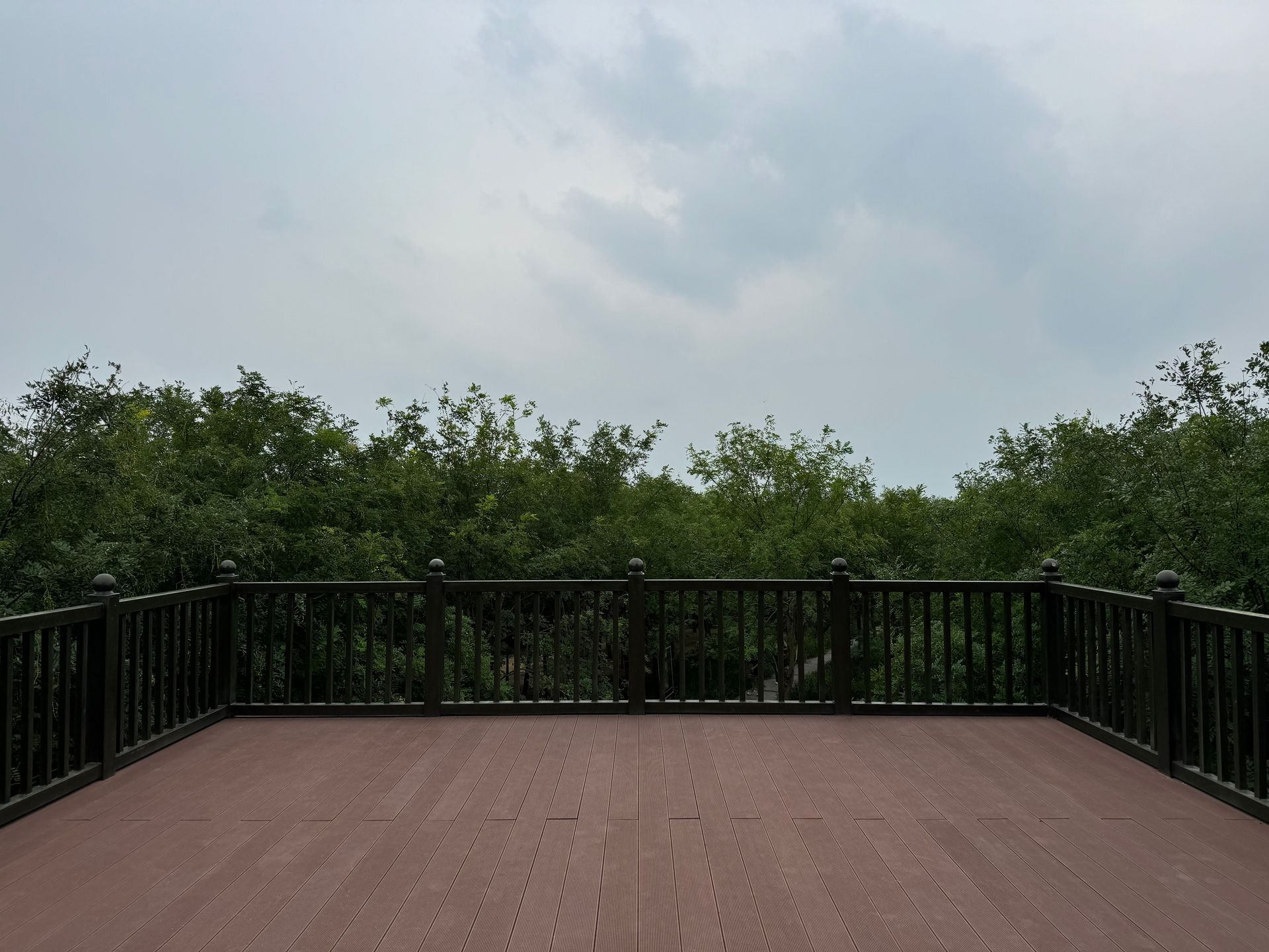 Wooden deck with black railing overlooking dense green trees under a cloudy sky