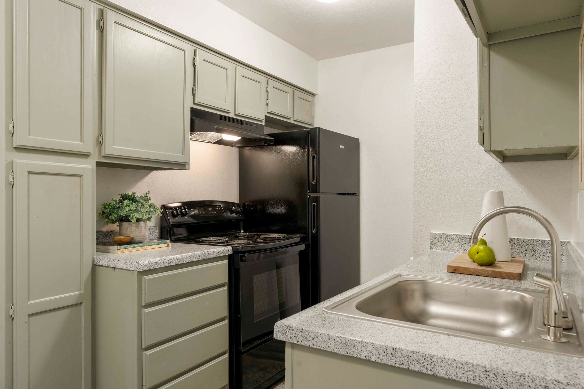forest pointe kitchen 2