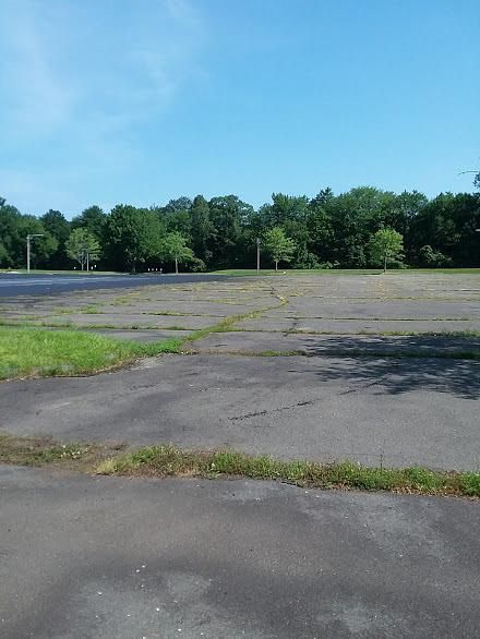 Empty cracked asphalt lot beside a tree line under a clear blue sky