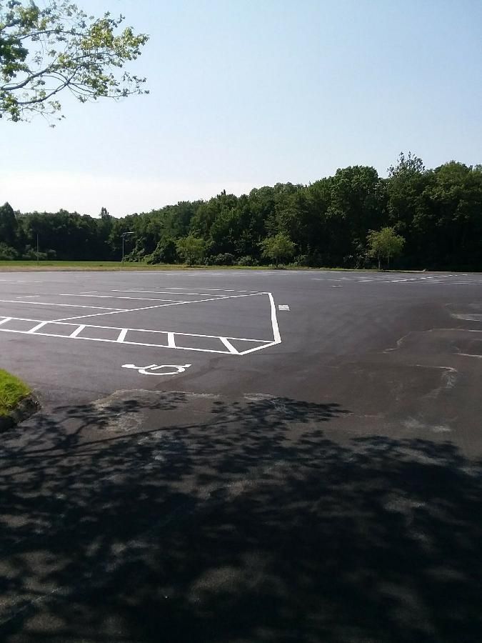 Empty parking lot with painted lines beside a tree-lined edge under a clear sky