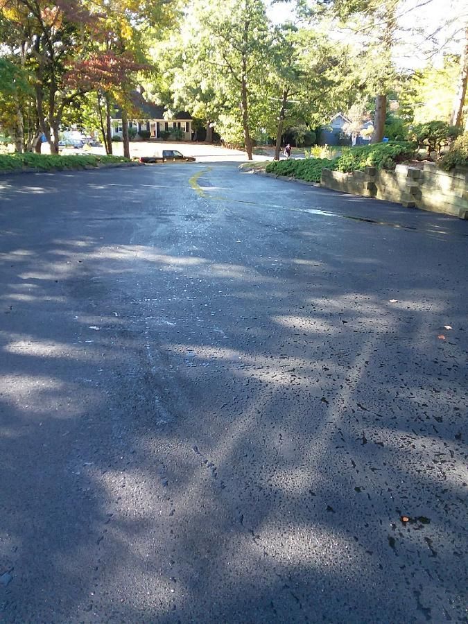 Quiet paved road in a tree-lined park with dappled sunlight and a distant white vehicle.