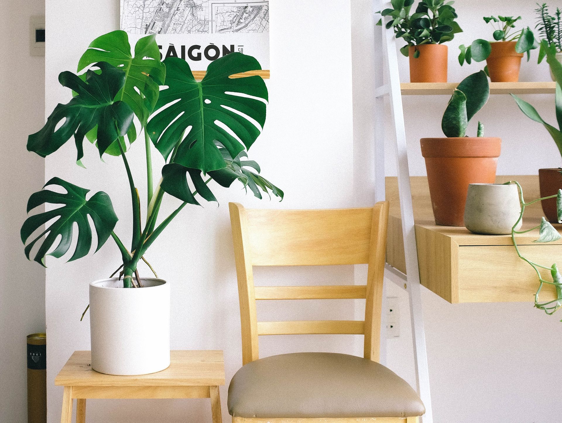 Aesthetically Pleasing And Personalized Décor