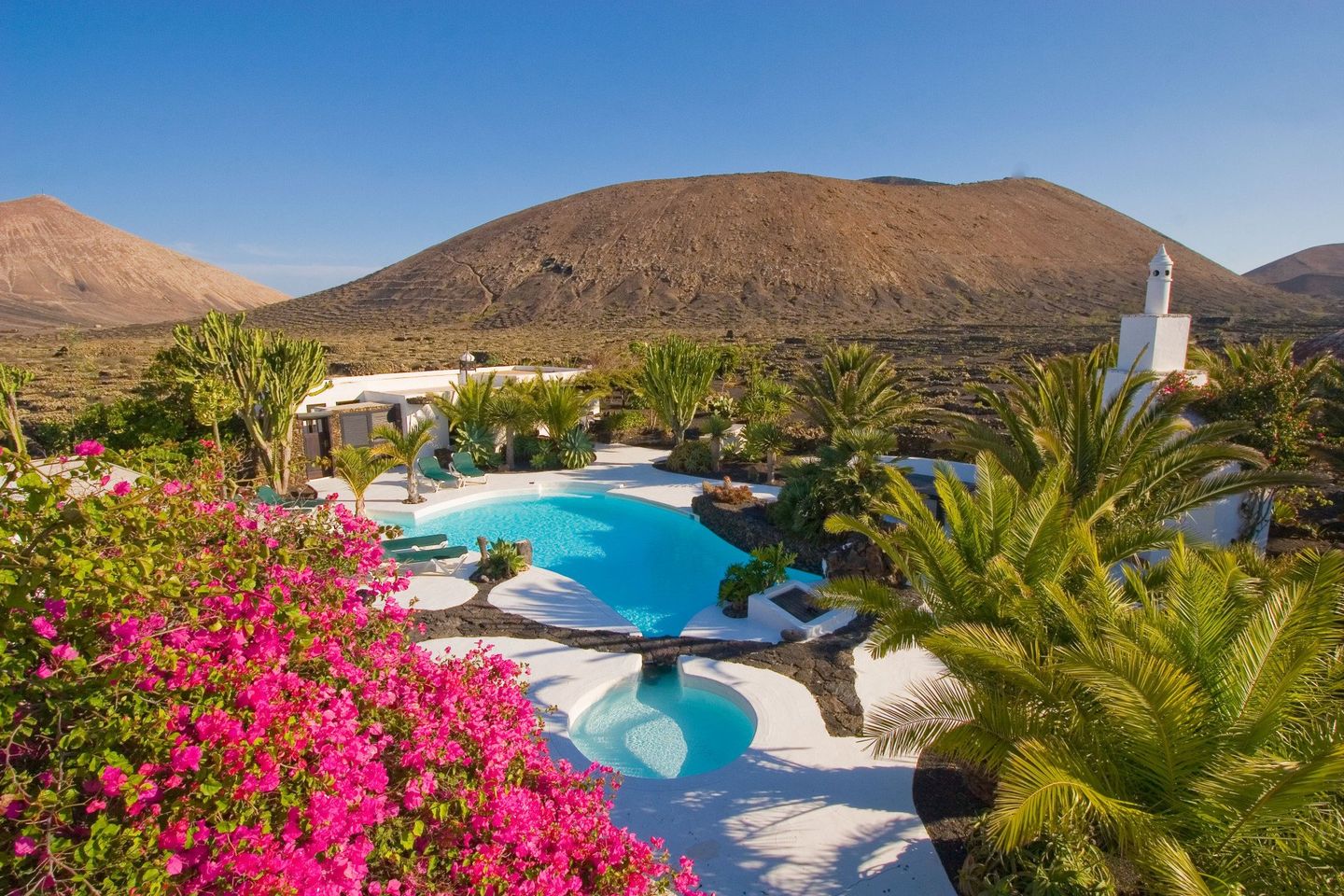 A large swimming pool surrounded by pink flowers and palm trees
