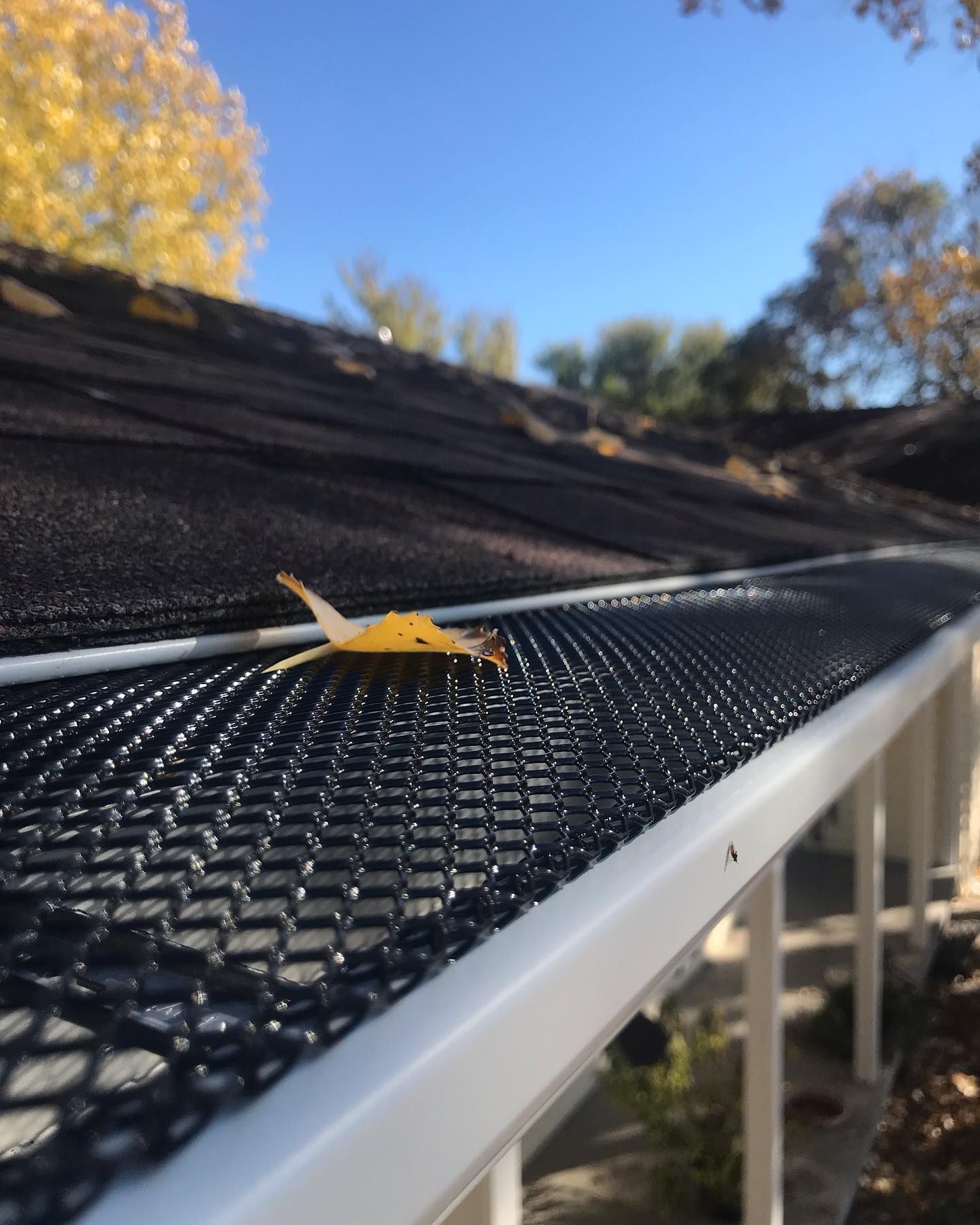 a leaf is sitting on top of a gutter on a roof .