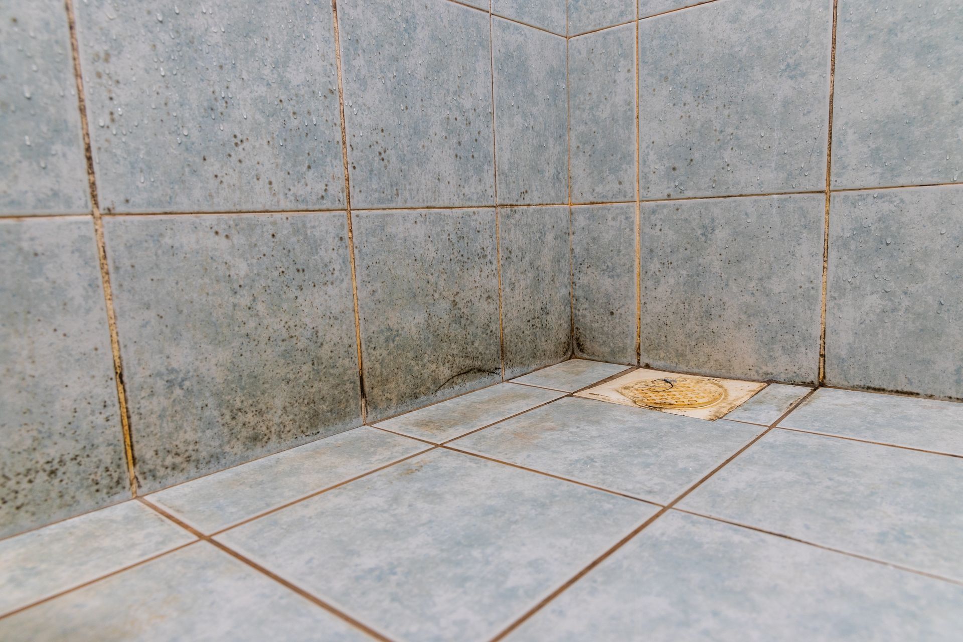 A corner of a bathroom shower featuring gray, moldy tiles and grout with a small floor drain. A corner of a bathroom shower featuring gray, moldy tiles and grout with a small floor drain.