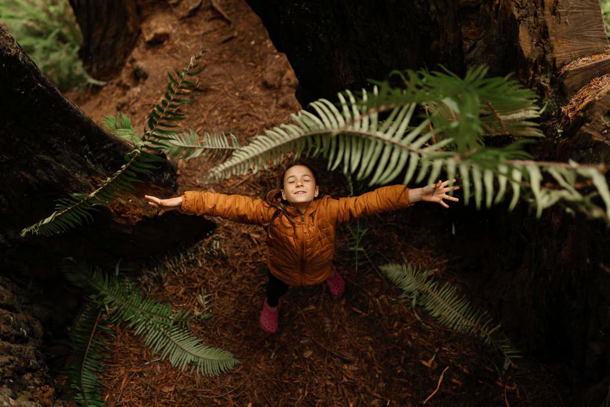 Person with arms outstretched under large tree. Brown jacket, red boots, and green ferns.