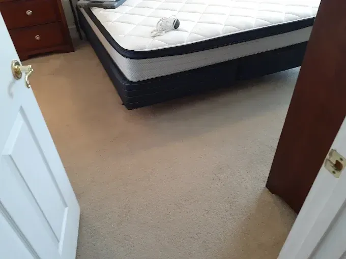 Beige carpet in a bedroom with a bed, nightstand, and partially visible door.