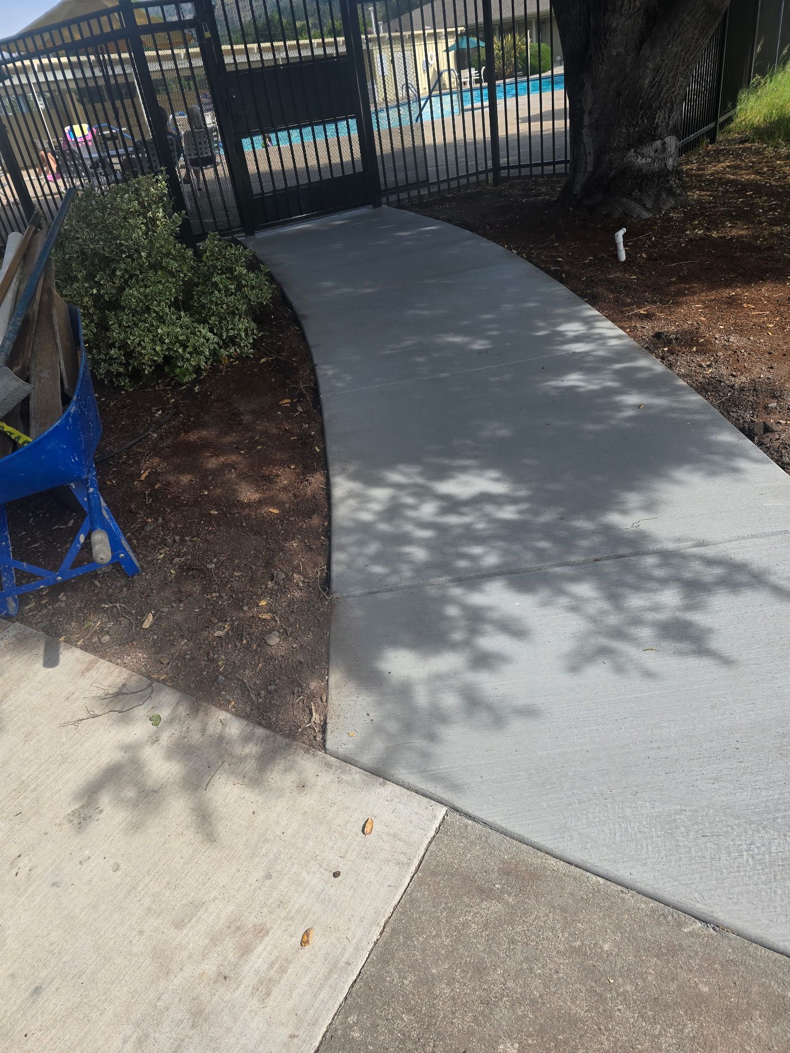 Curved concrete walkway leading to a black metal gate, with shrubs and dappled sunlight.