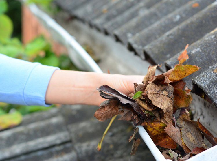 Hand removing wet leaves from a roof gutter beside a house