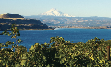 A view of a lake with a mountain in the background