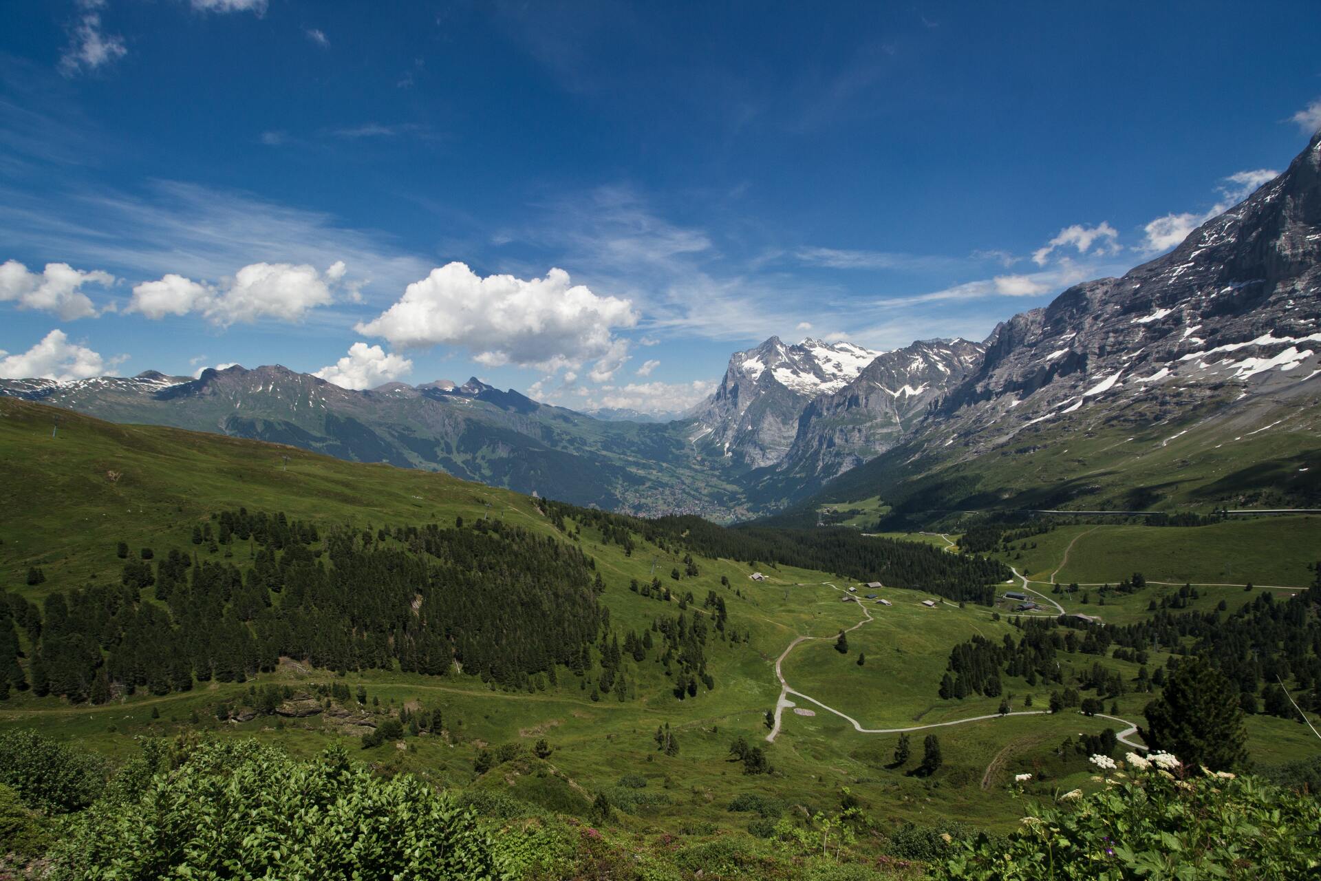 A view of a valley with mountains in the background
