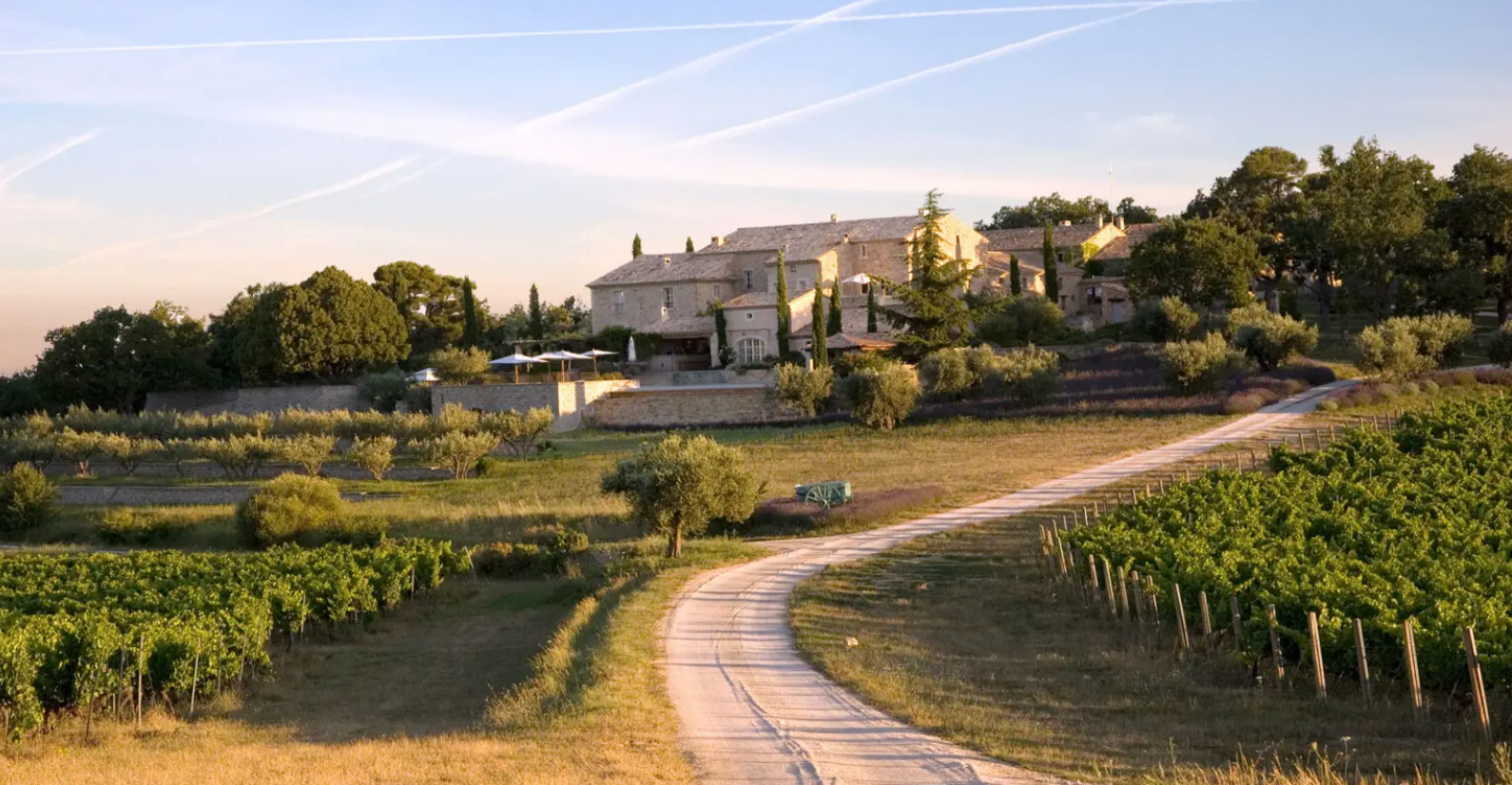 A dirt road going through a vineyard with a house in the background.