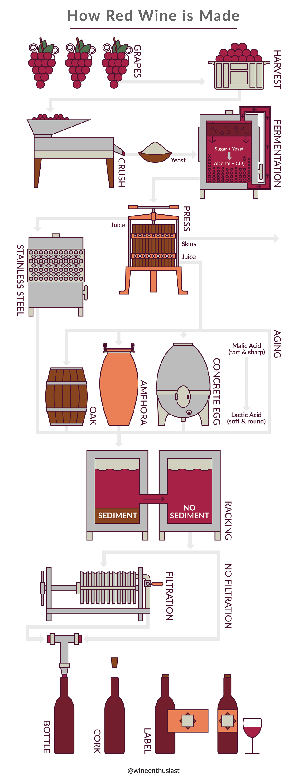 A diagram showing how red wine is made.