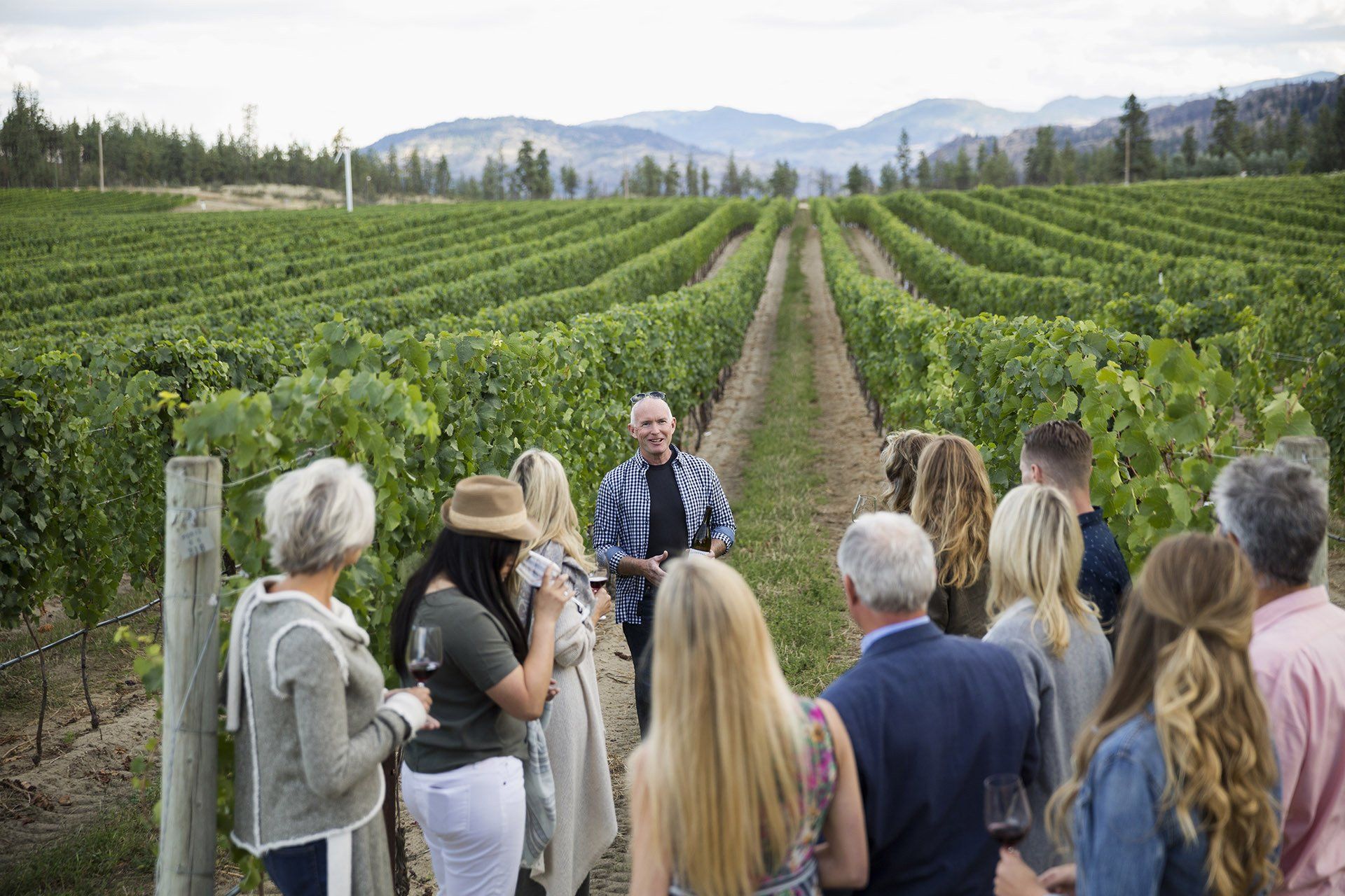 A group of people are standing in a vineyard listening to a man talking.