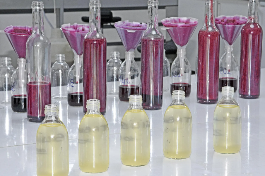 A table topped with bottles of liquid and funnels filled with liquid.