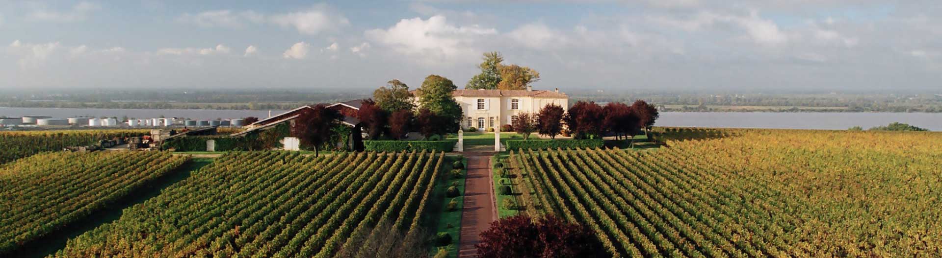 An aerial view of a vineyard with a house in the background.
