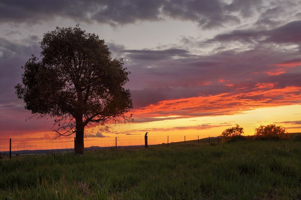 Sunset Views — City Cabinetmakers in Rural View, QLD