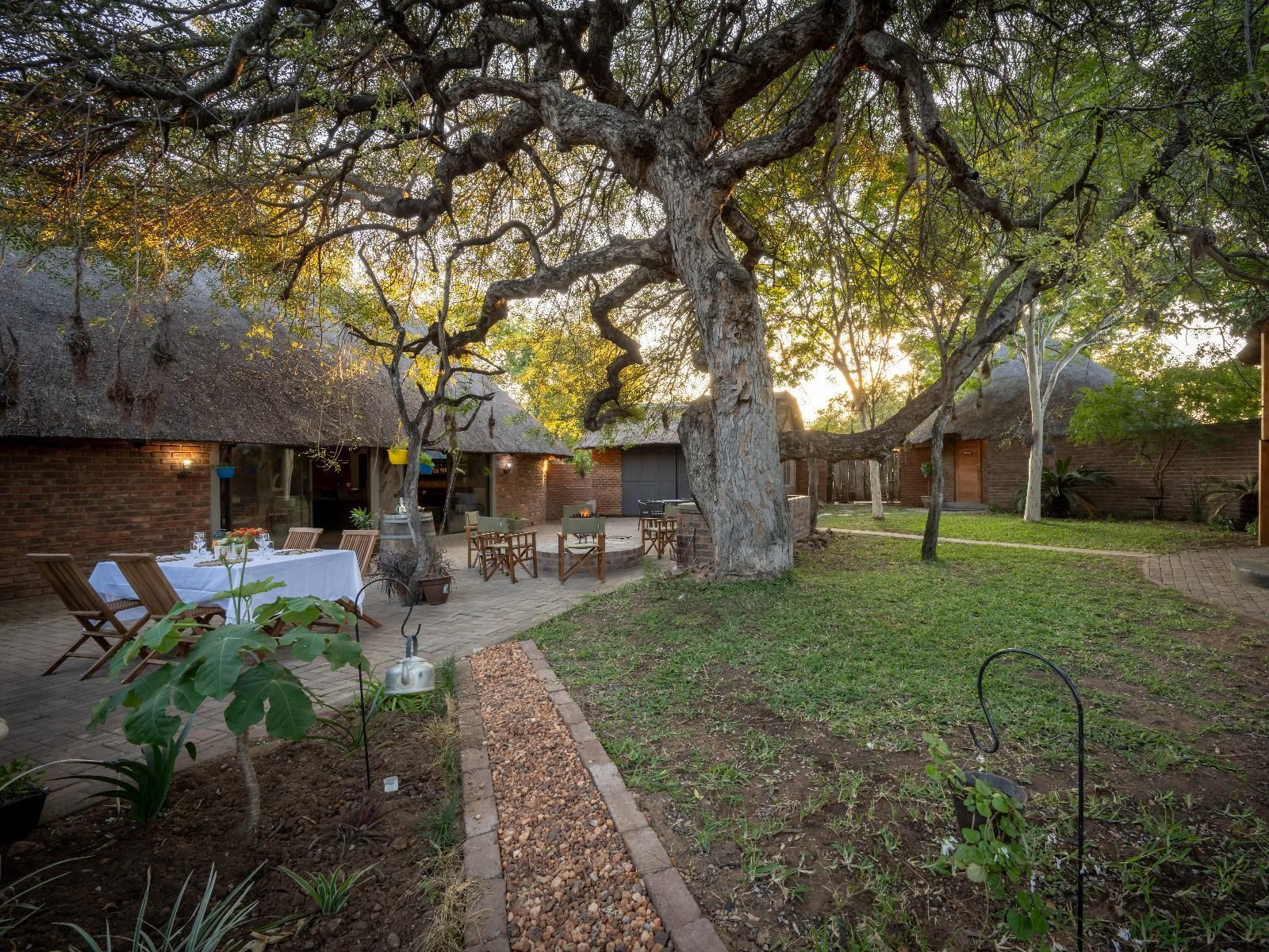 Hoedspruit Wildlife Estate Accommodation | Africana Travel
