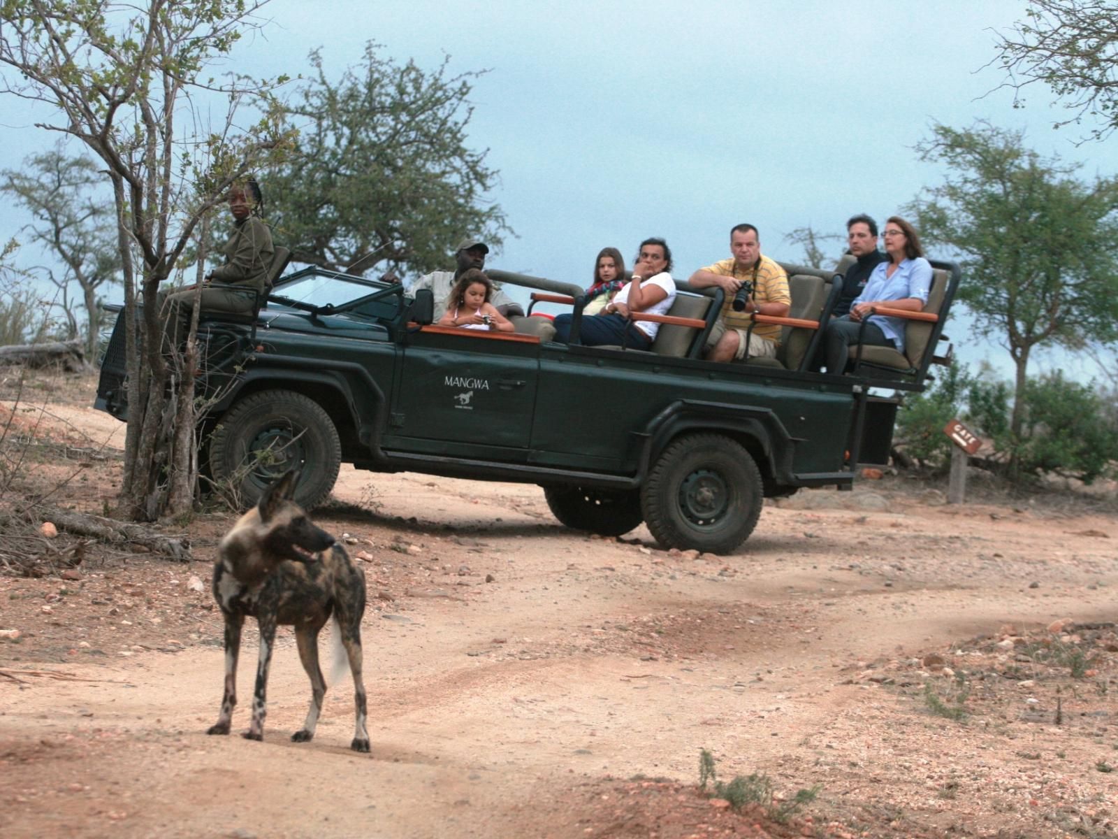 Buhala @ 411 | Africana Travel