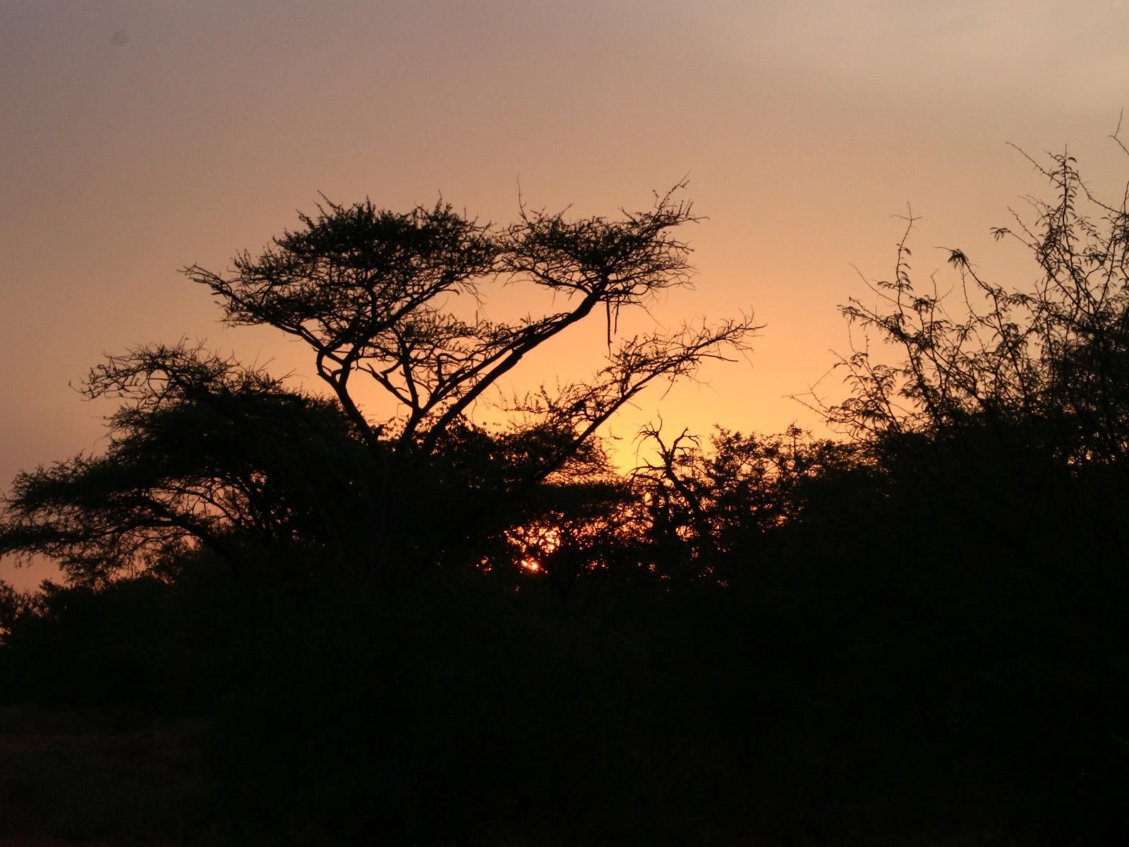 Africana | Ukuthula Bush Lodge sunset