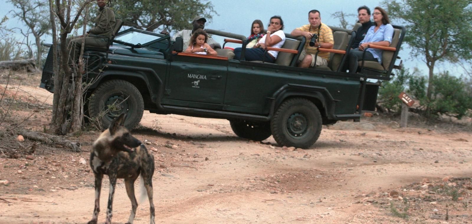 a group of people are sitting in a jeep with a wild dog standing in front of it