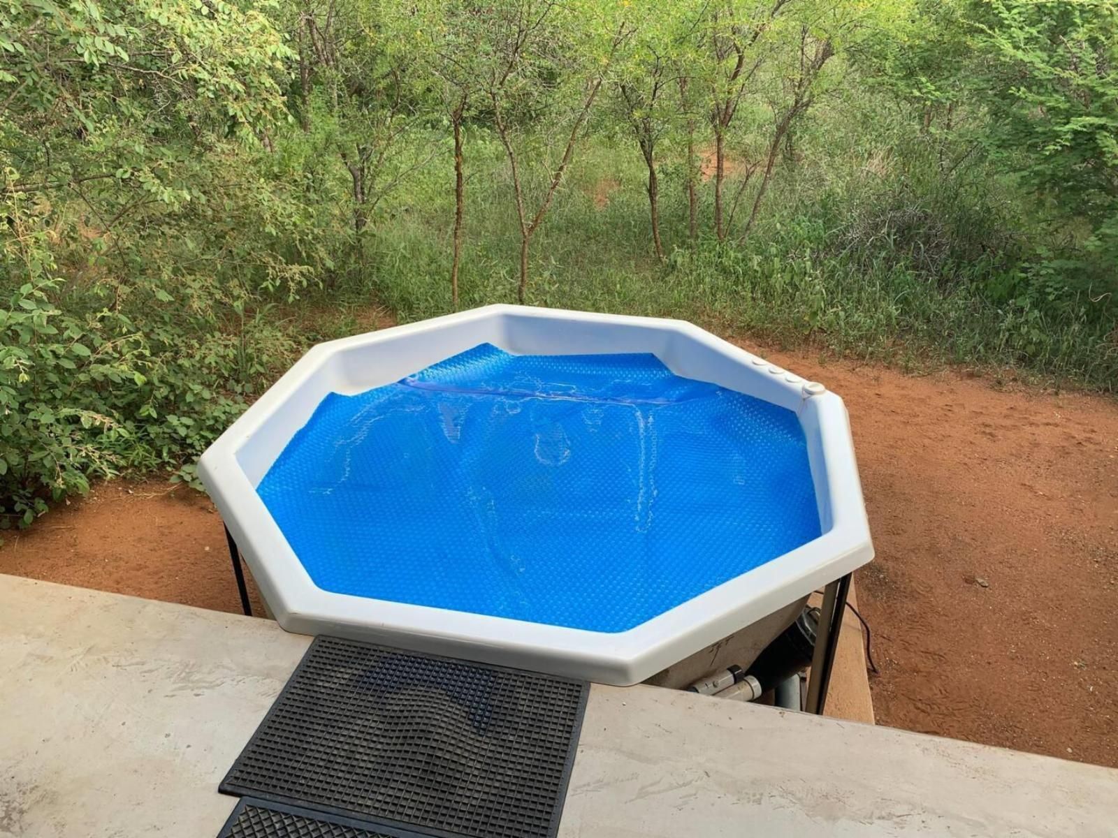 Africana | African Olive outside jacuzzi
