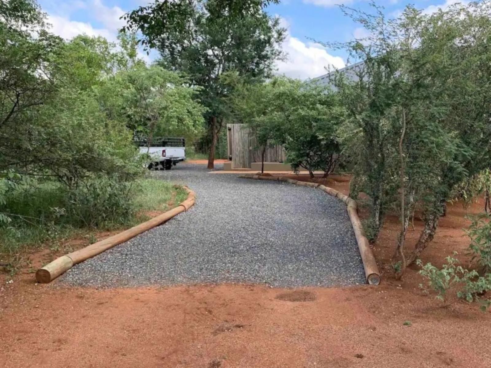 Africana | African Olive driveway