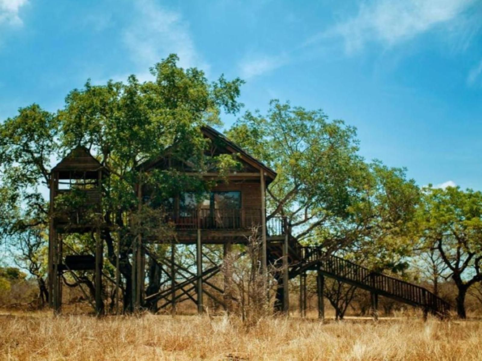 Africana | Pezulu Tree House Lodge treehouse