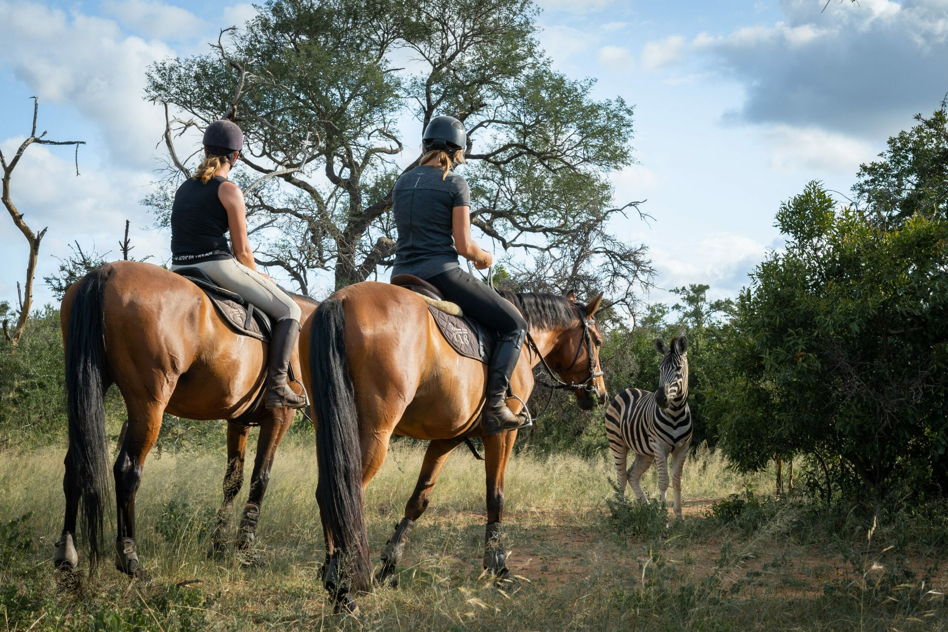 Two riders on horseback in savanna, facing a zebra.